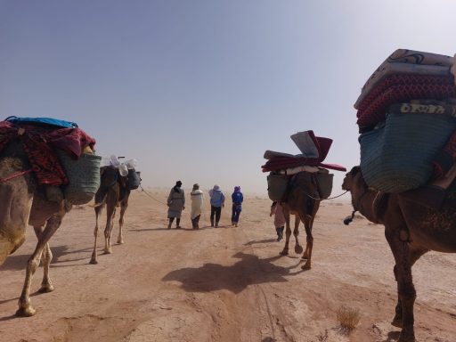Aufbruch zur Wüstenwanderung
