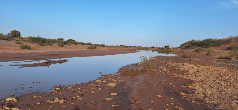 Wasserstelle in der Sahara