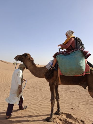 Kameltrekking in der Sahara