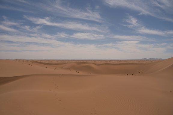 Wüstenlandschaft