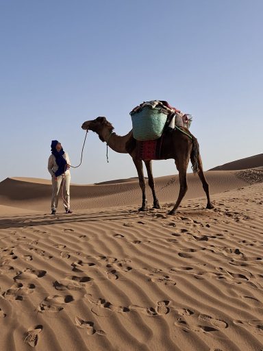 Kameltrekking in der Sahara