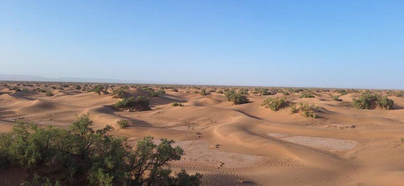 Wüstenlandschaft
